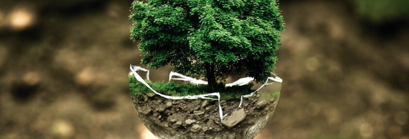 environmental-protection-683437_1280